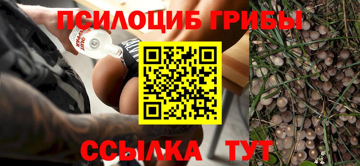 Галлюциногенные грибы мицелий  Вход с VPN  что такое наркотик  Петрозаводск  Псилоцибиновые грибы мицелий 