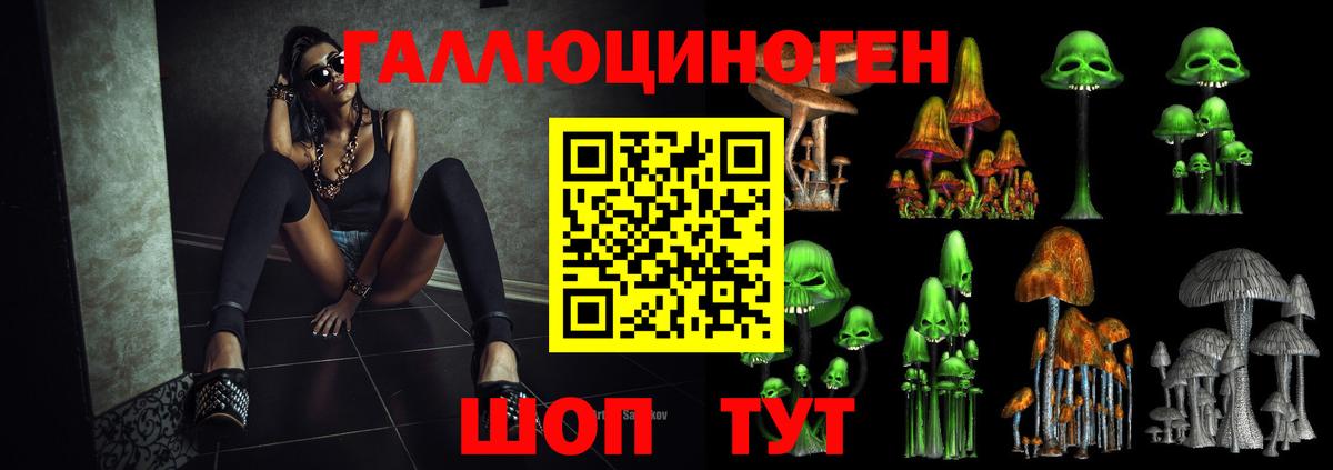 Псилоцибиновые грибы мухоморы Петрозаводск